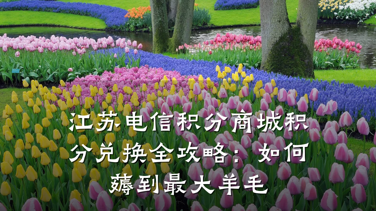 江苏电信积分商城积分兑换全攻略：如何薅到最大羊毛
