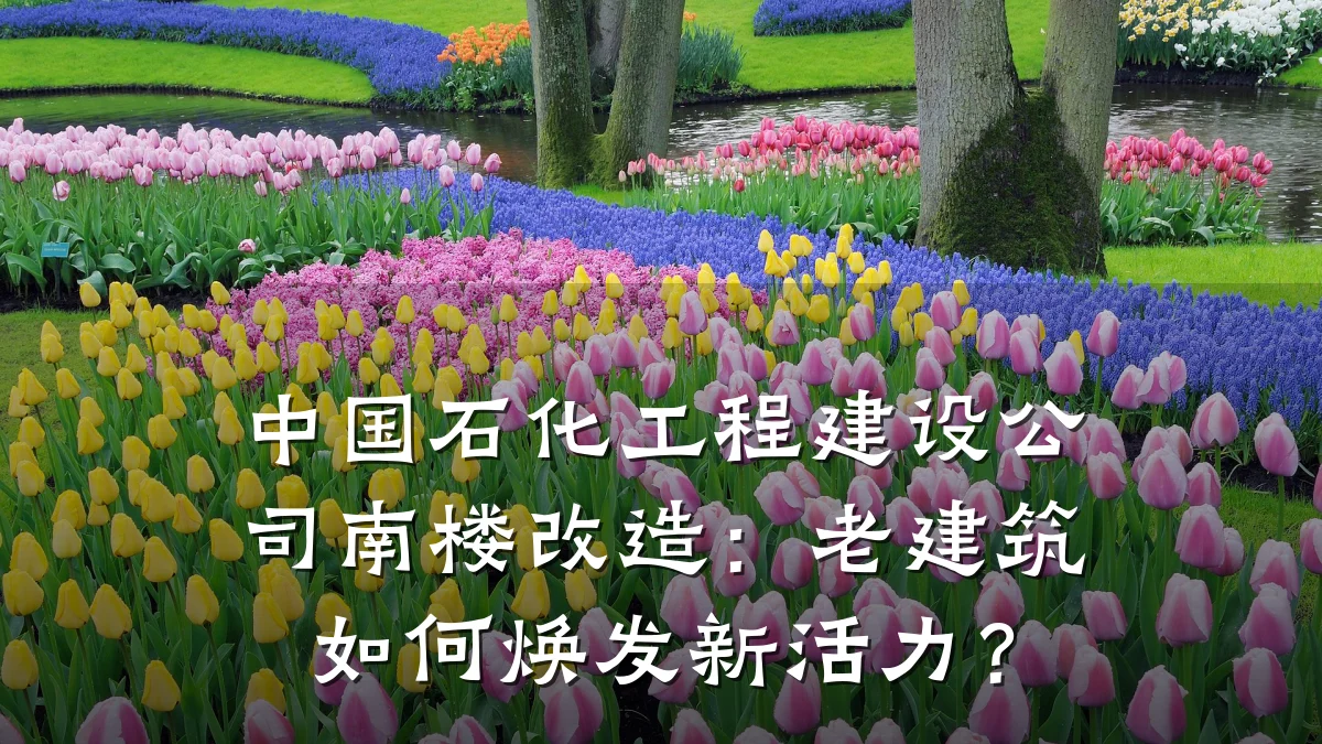 中国石化工程建设公司南楼改造：老建筑如何焕发新活力？