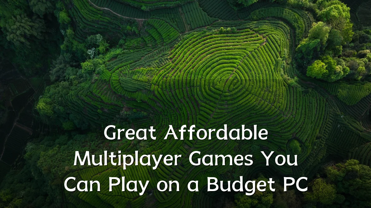 Great Affordable Multiplayer Games You Can Play on a Budget PC