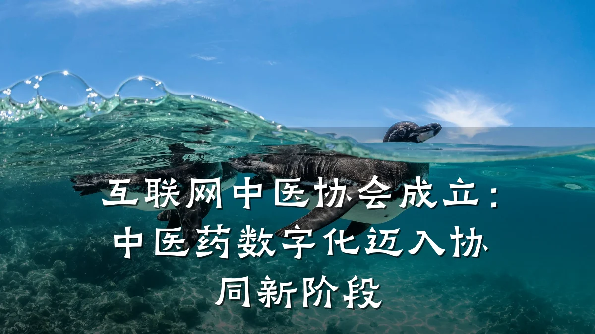 互联网中医协会成立:中医药数字化迈入协同新阶段