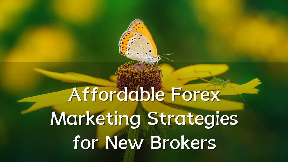 Affordable Forex Marketing Strategies for New Brokers