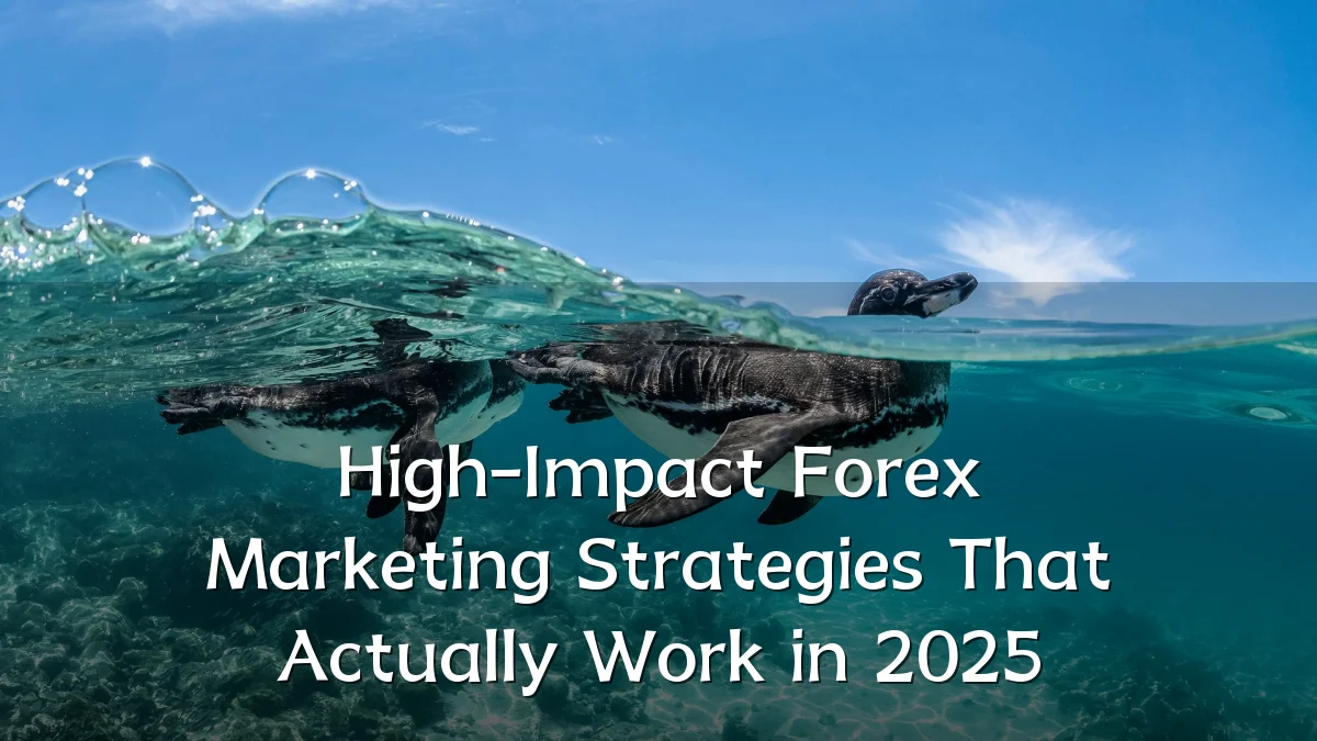 High-Impact Forex Marketing Strategies That Actually Work in 2025