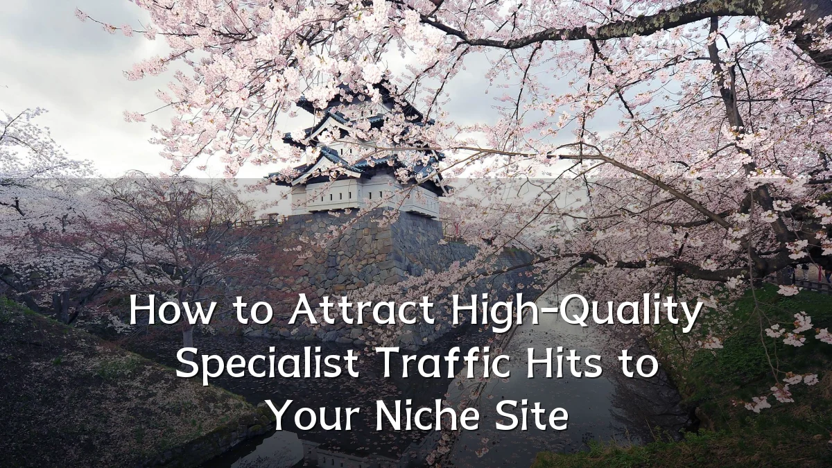 How to Attract High-Quality Specialist Traffic Hits to Your Niche Site