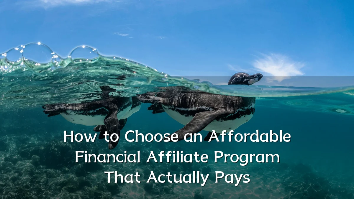 How to Choose an Affordable Financial Affiliate Program That Actually Pays