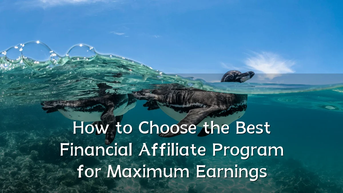 How to Choose the Best Financial Affiliate Program for Maximum Earnings