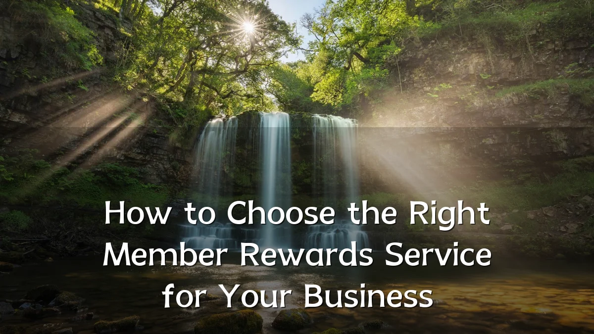 How to Choose the Right Member Rewards Service for Your Business