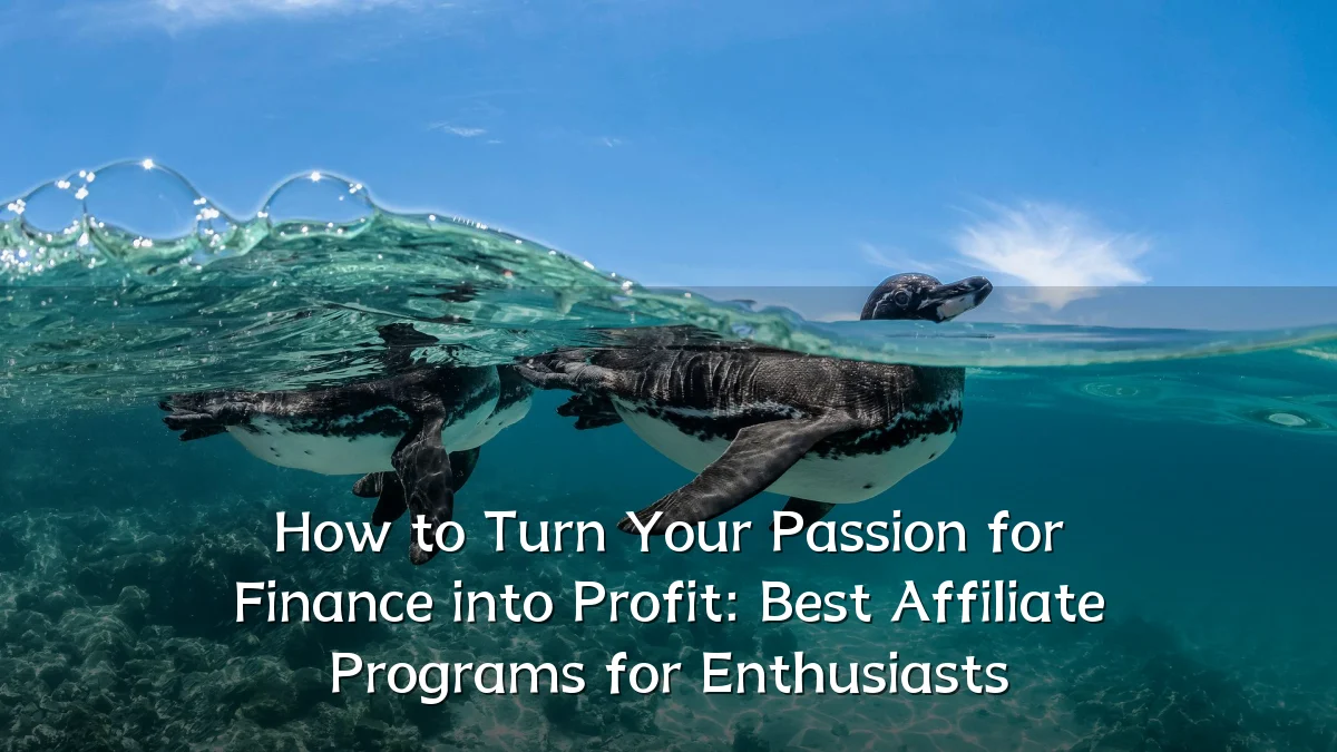 How to Turn Your Passion for Finance into Profit: Best Affiliate Programs for Enthusiasts