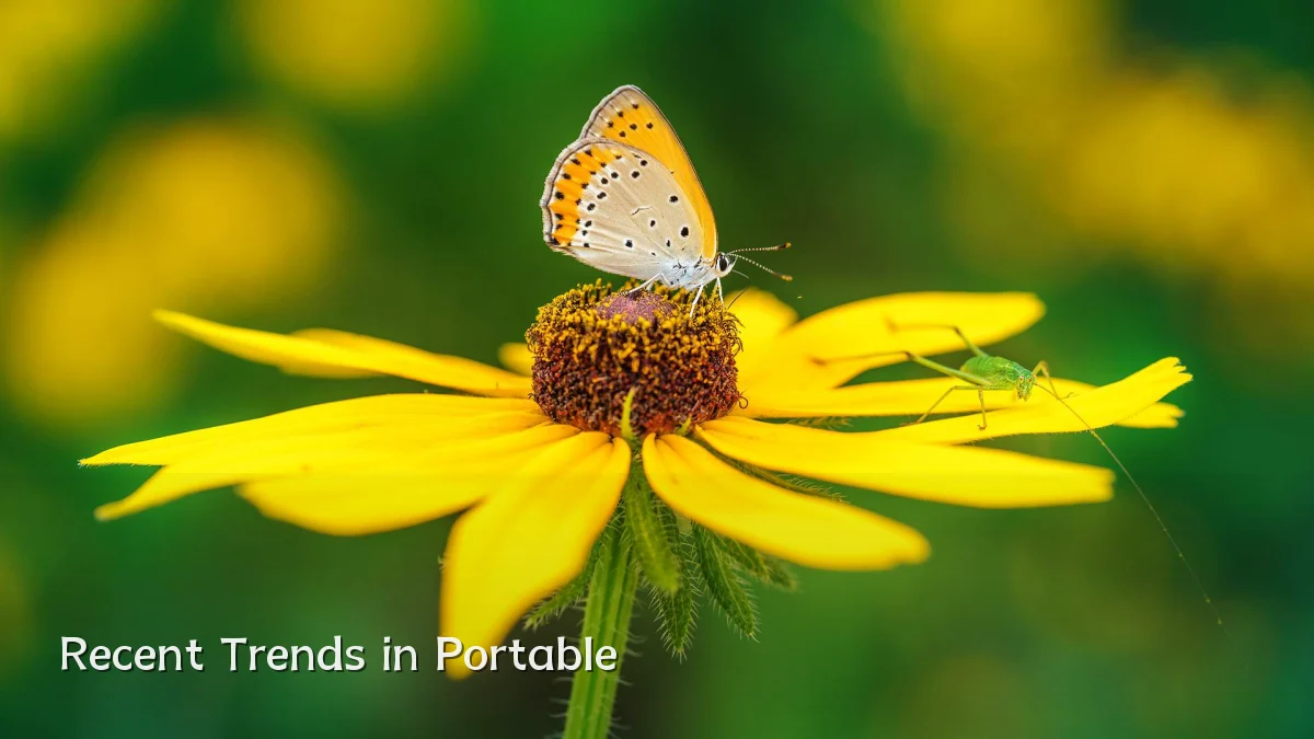 Recent Trends in Portable