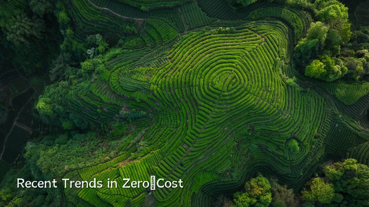 Recent Trends in Zero‑Cost