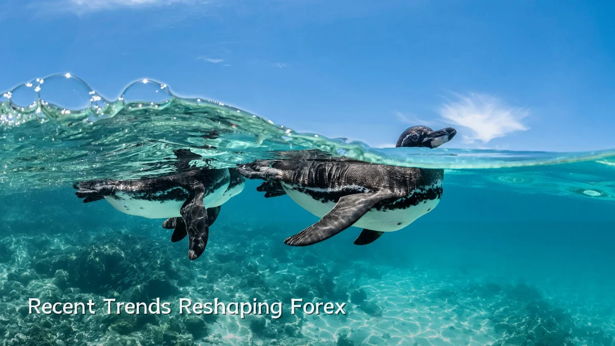Recent Trends Reshaping Forex