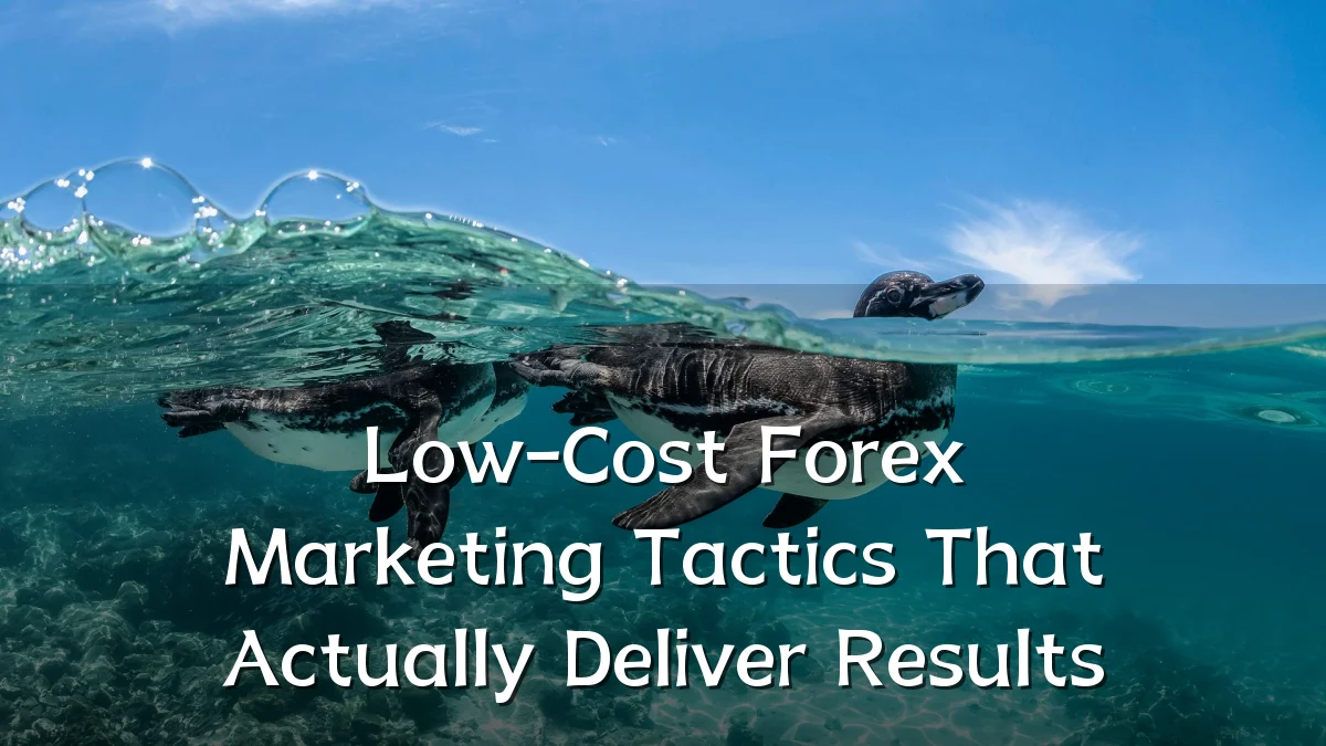Low-Cost Forex Marketing Tactics That Actually Deliver Results