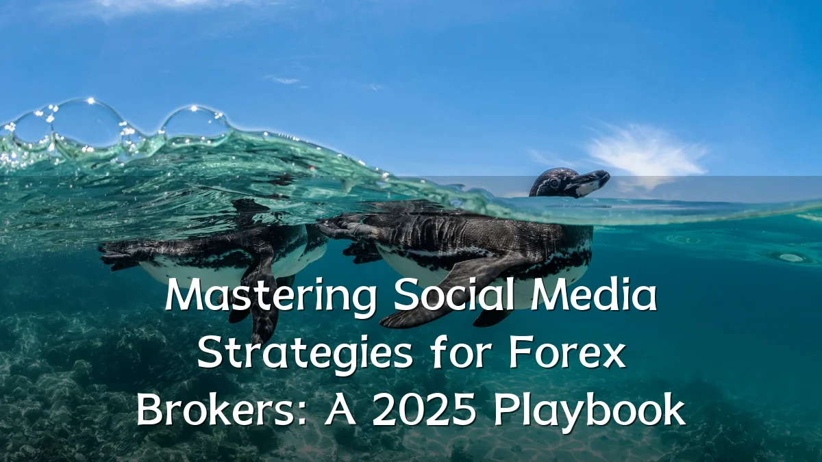 Mastering Social Media Strategies for Forex Brokers: A 2025 Playbook
