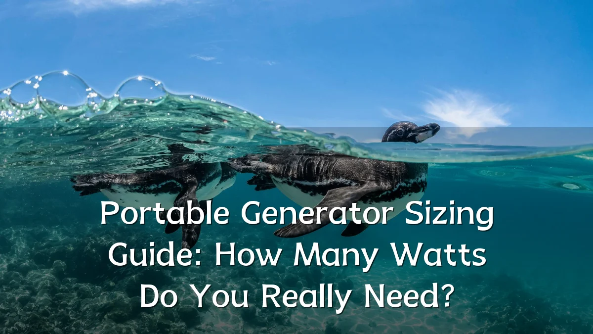 Portable Generator Sizing Guide: How Many Watts Do You Really Need?