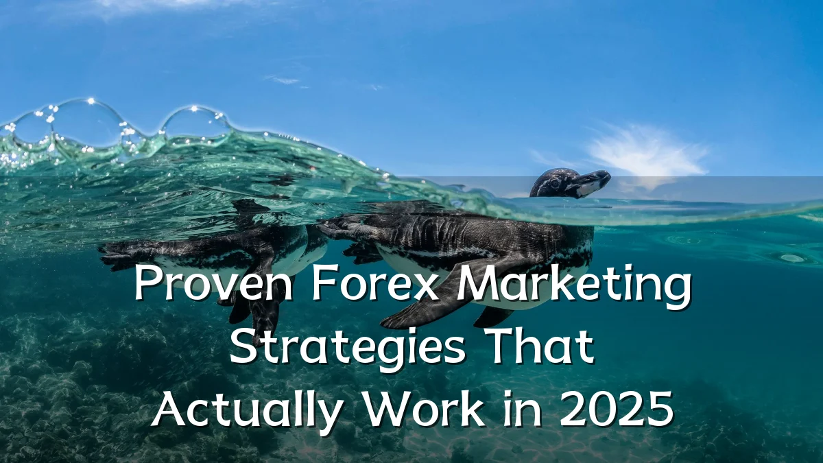 Proven Forex Marketing Strategies That Actually Work in 2025