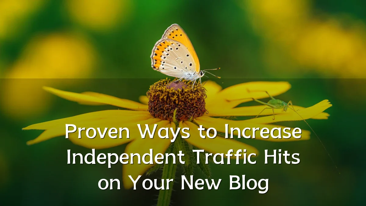 Proven Ways to Increase Independent Traffic Hits on Your New Blog