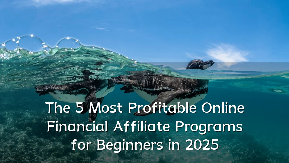 The 5 Most Profitable Online Financial Affiliate Programs for Beginners in 2025