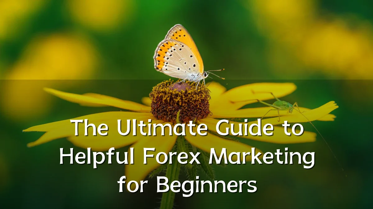 The Ultimate Guide to Helpful Forex Marketing for Beginners