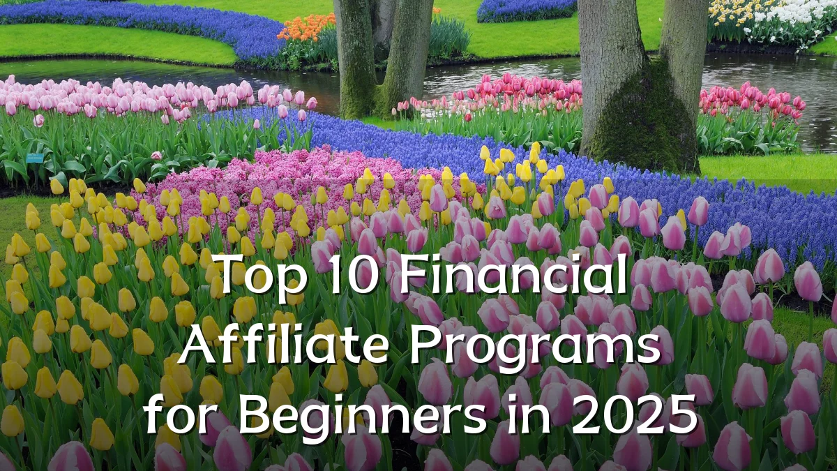 Top 10 Financial Affiliate Programs for Beginners in 2025
