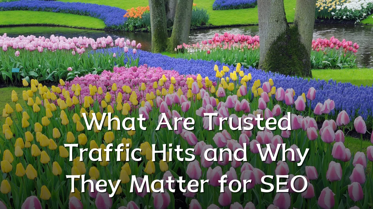 What Are Trusted Traffic Hits and Why They Matter for SEO