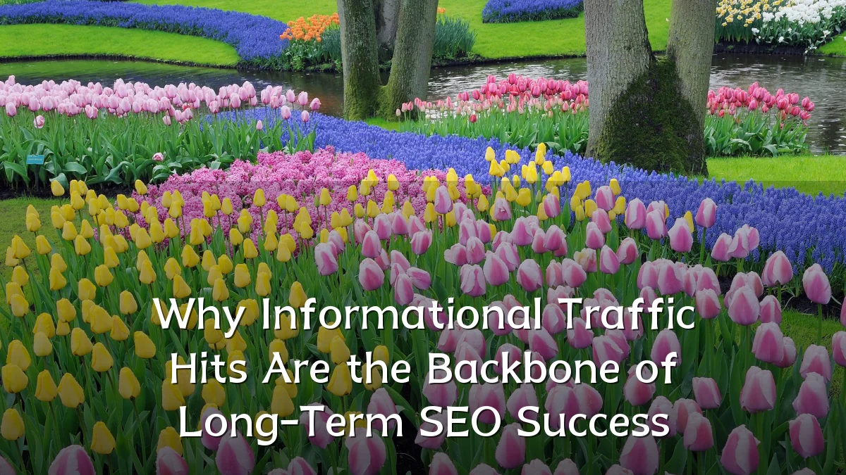 Why Informational Traffic Hits Are the Backbone of Long-Term SEO Success