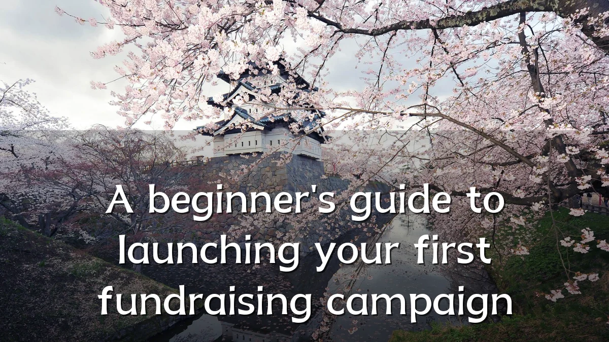 A beginner's guide to launching your first fundraising campaign