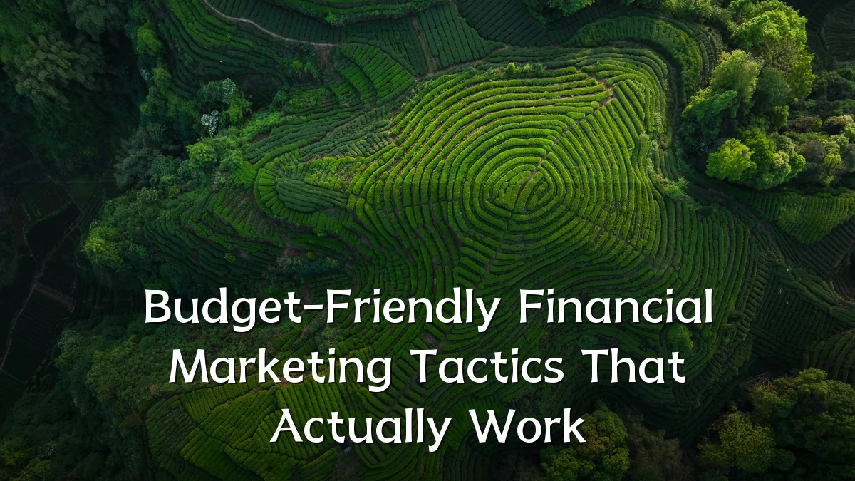 Budget-Friendly Financial Marketing Tactics That Actually Work
