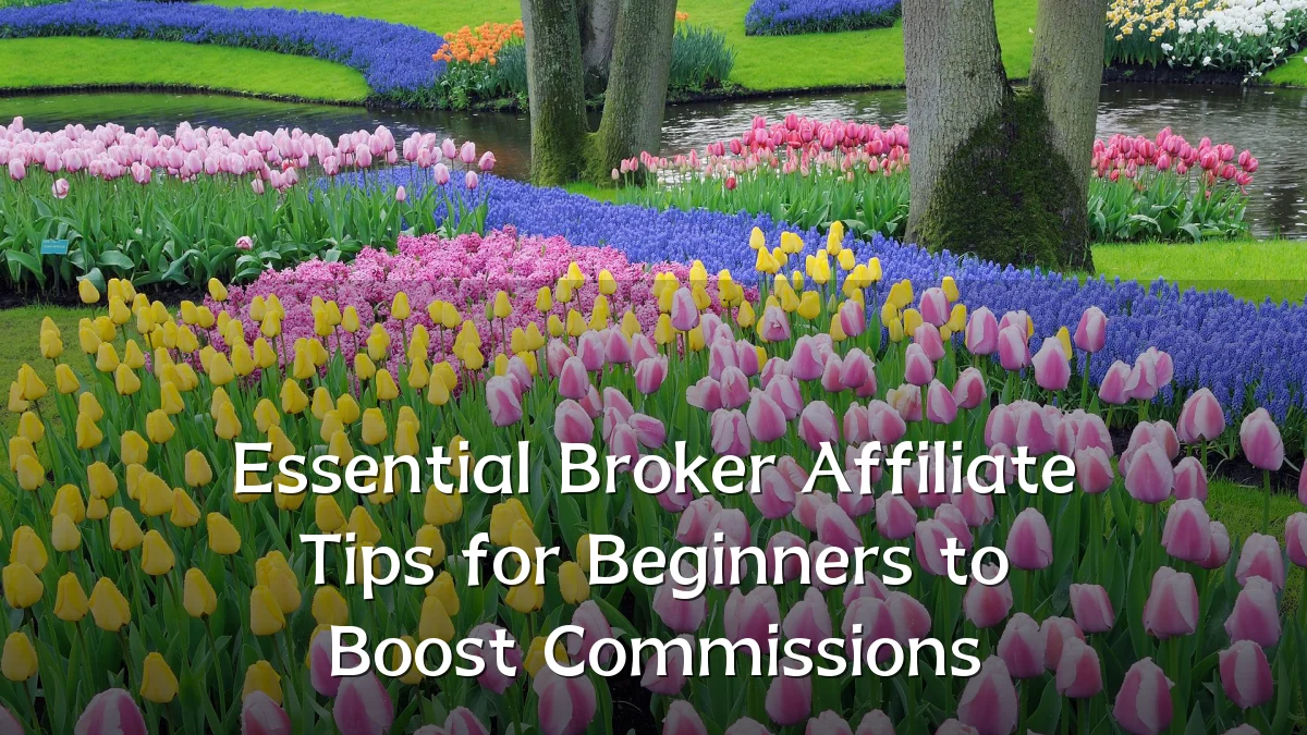 Essential Broker Affiliate Tips for Beginners to Boost Commissions