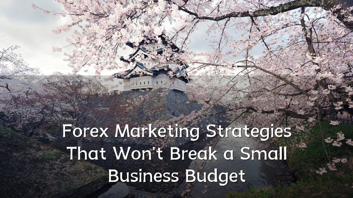 Forex Marketing Strategies That Won't Break a Small Business Budget
