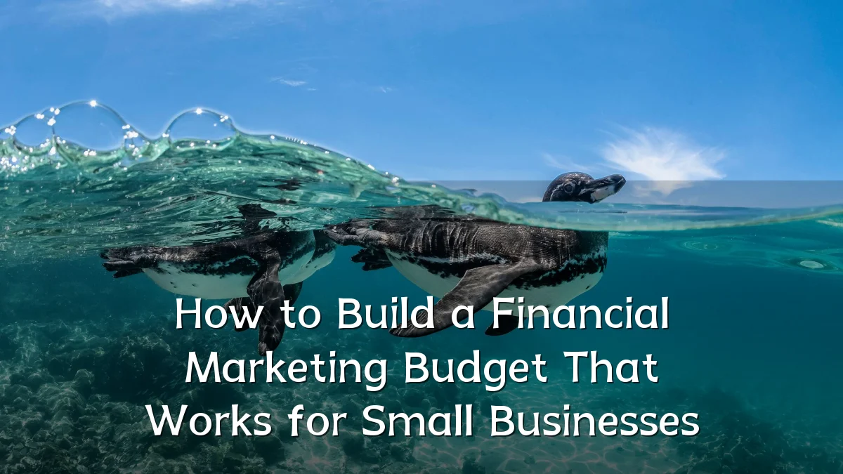 How to Build a Financial Marketing Budget That Works for Small Businesses