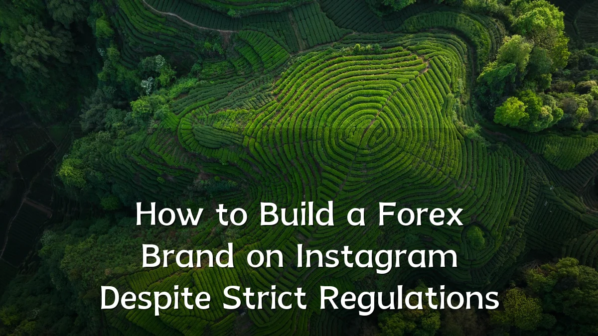 How to Build a Forex Brand on Instagram Despite Strict Regulations