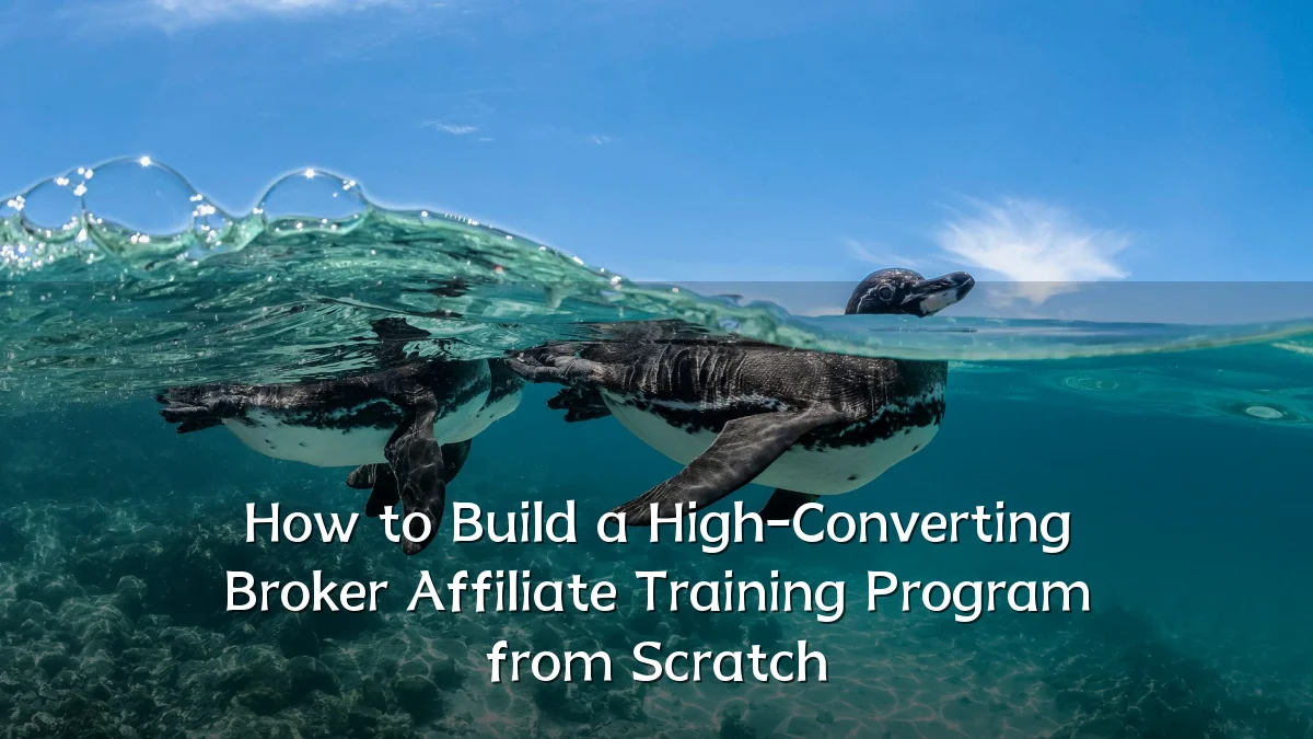 How to Build a High-Converting Broker Affiliate Training Program from Scratch