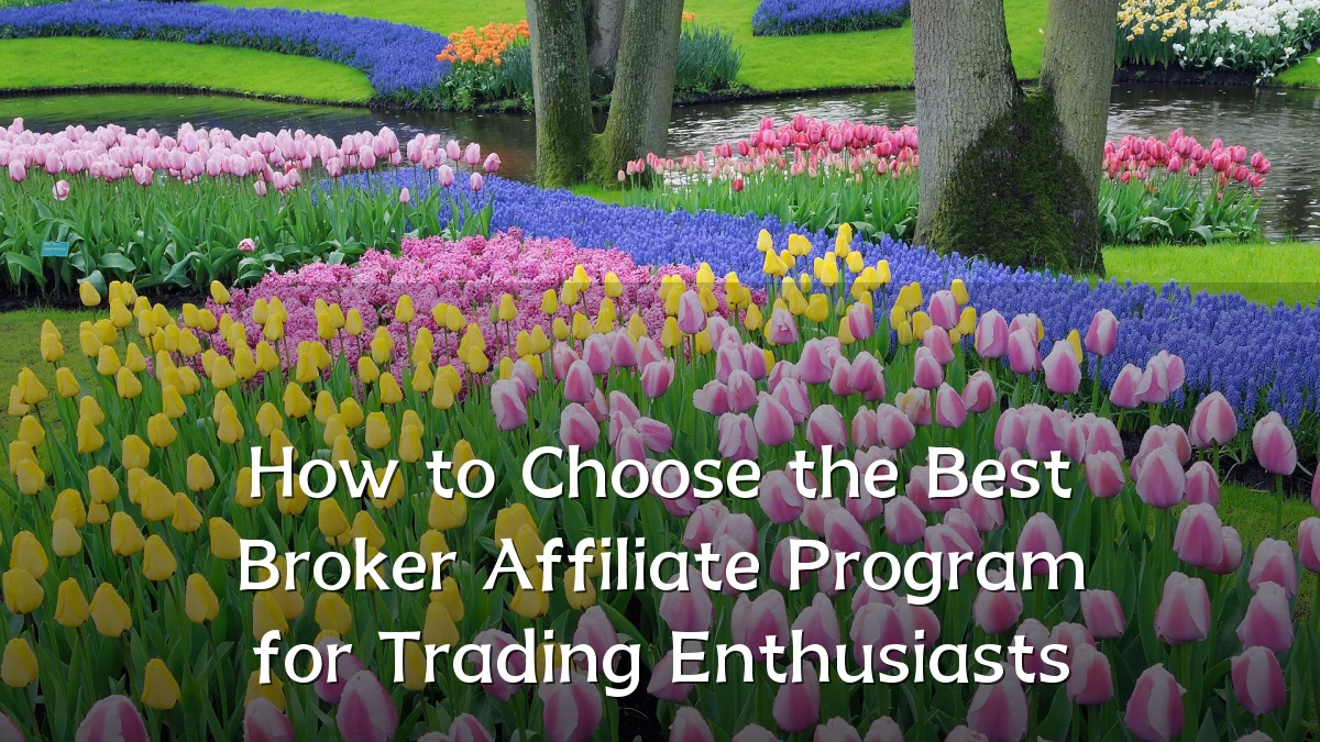 How to Choose the Best Broker Affiliate Program for Trading Enthusiasts