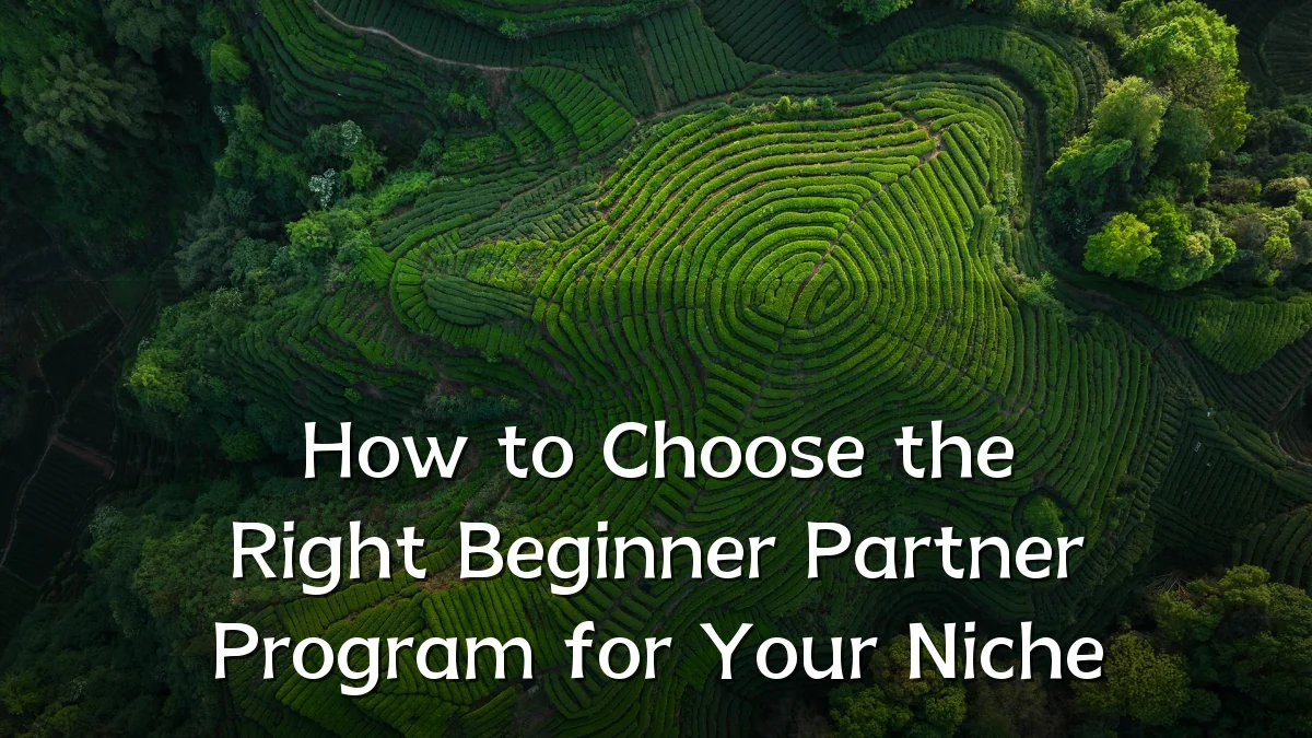 How to Choose the Right Beginner Partner Program for Your Niche