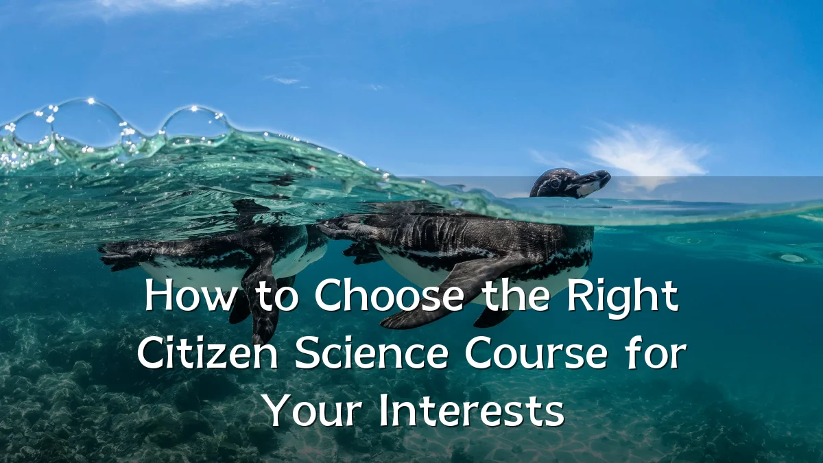 How to Choose the Right Citizen Science Course for Your Interests
