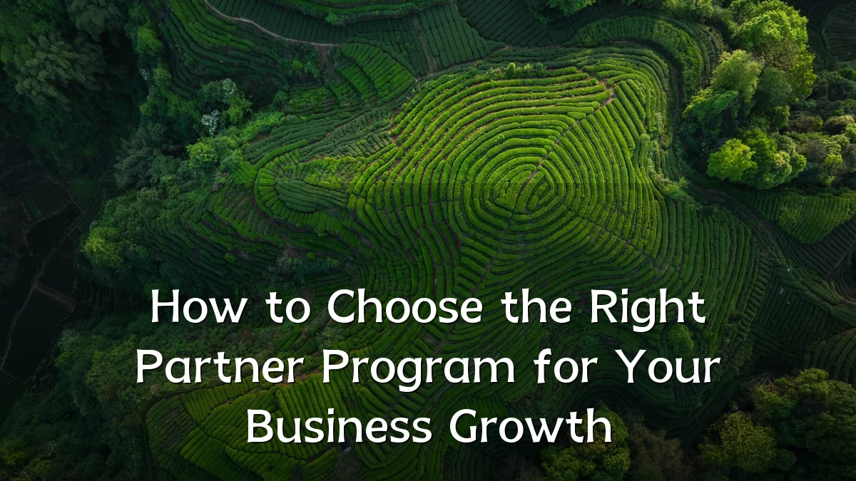 How to Choose the Right Partner Program for Your Business Growth