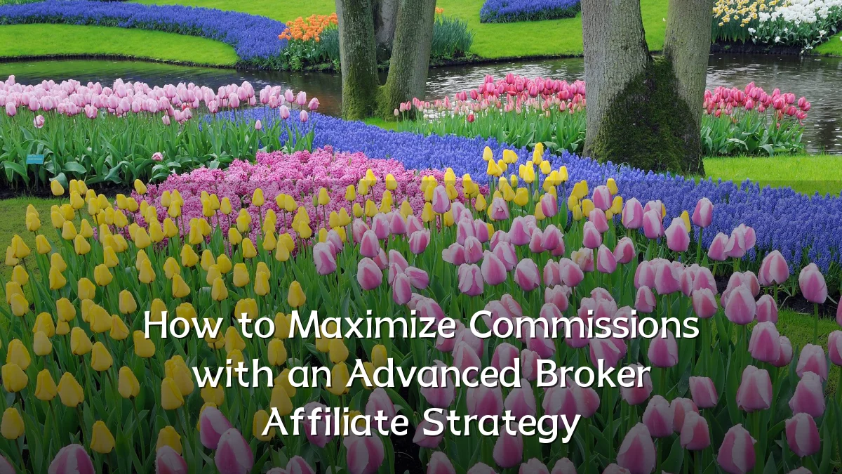 How to Maximize Commissions with an Advanced Broker Affiliate Strategy