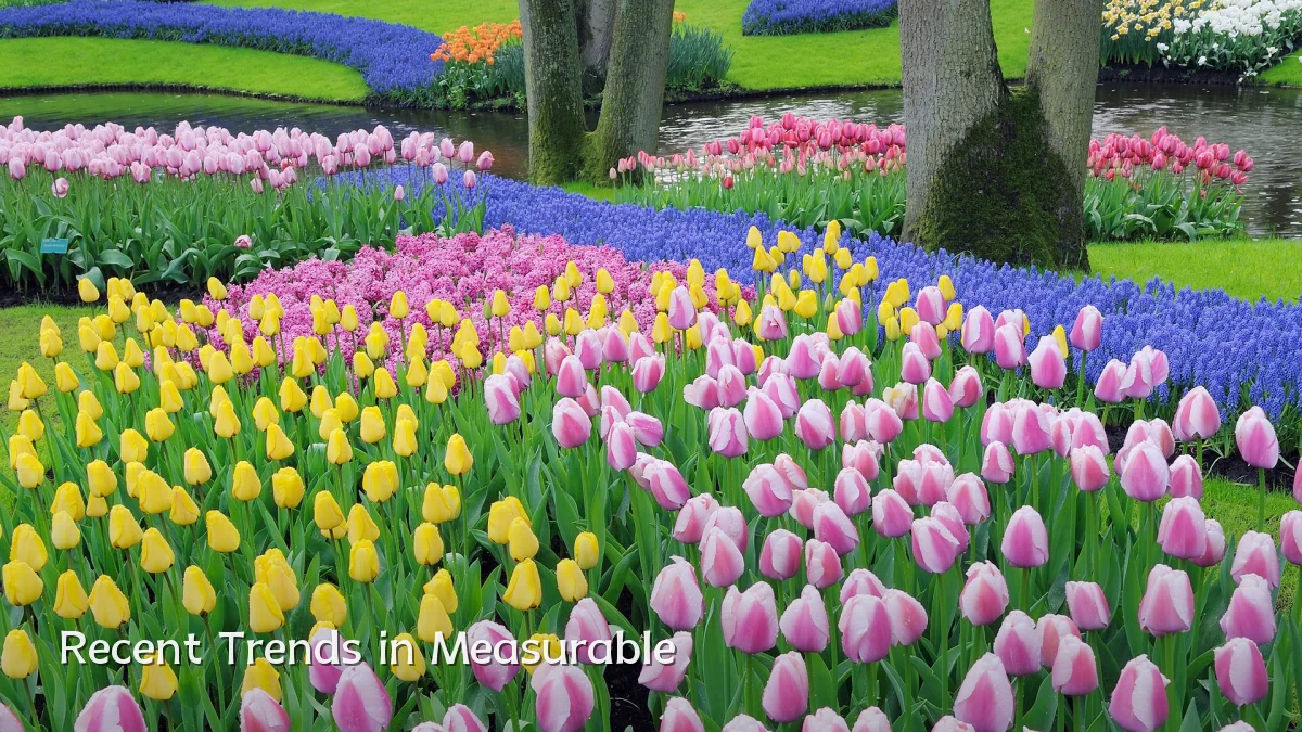 Recent Trends in Measurable