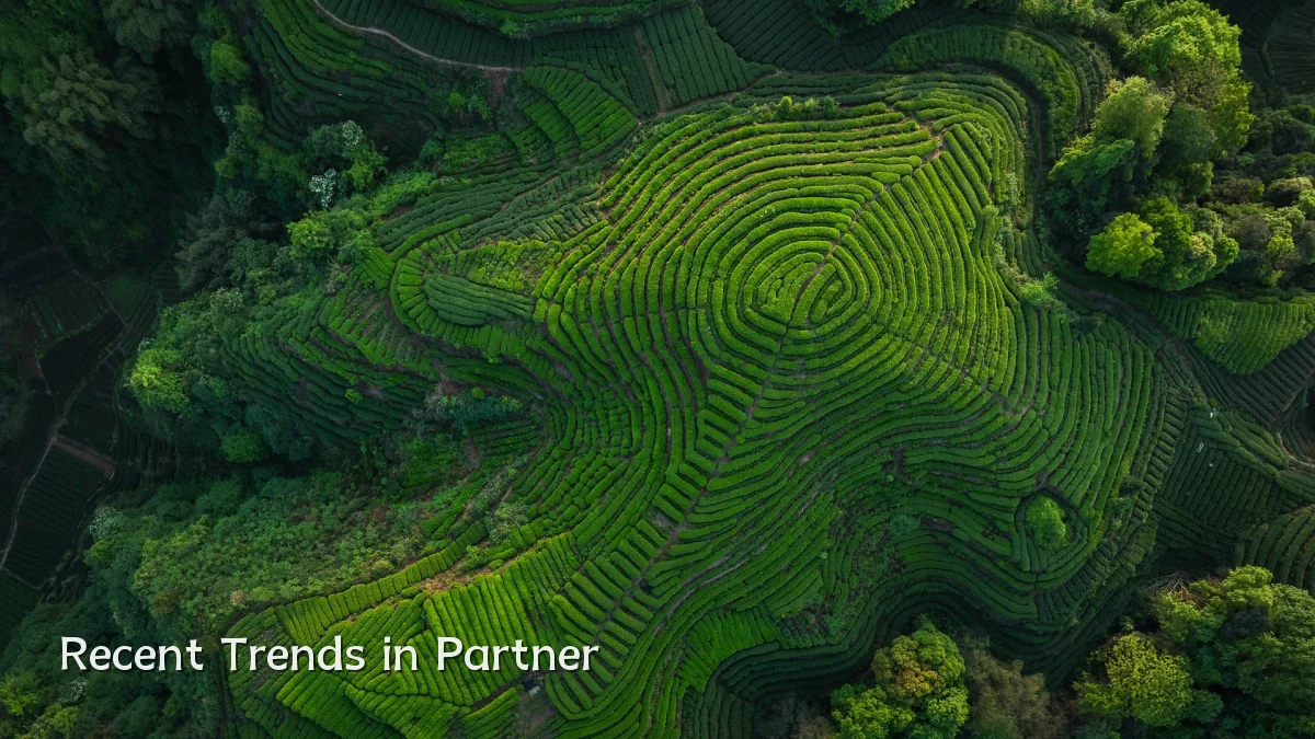 Recent Trends in Partner