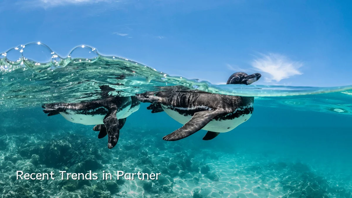 Recent Trends in Partner