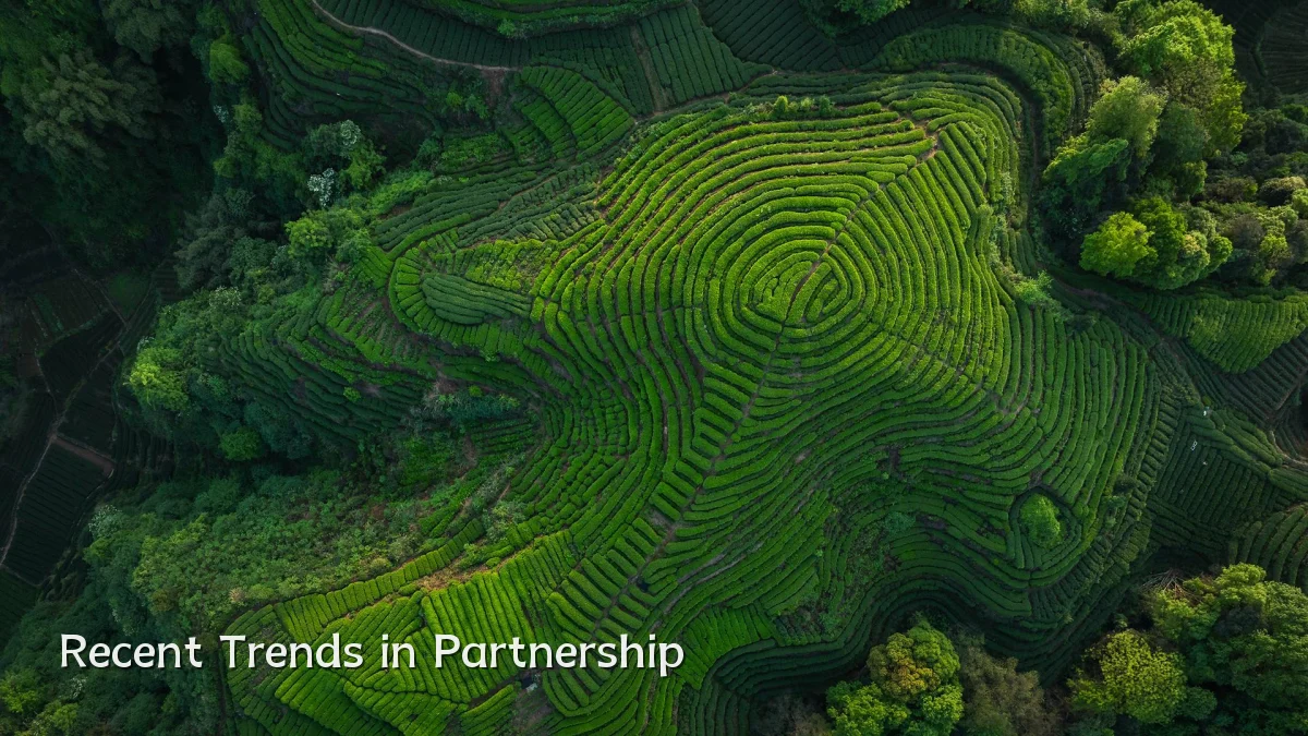 Recent Trends in Partnership