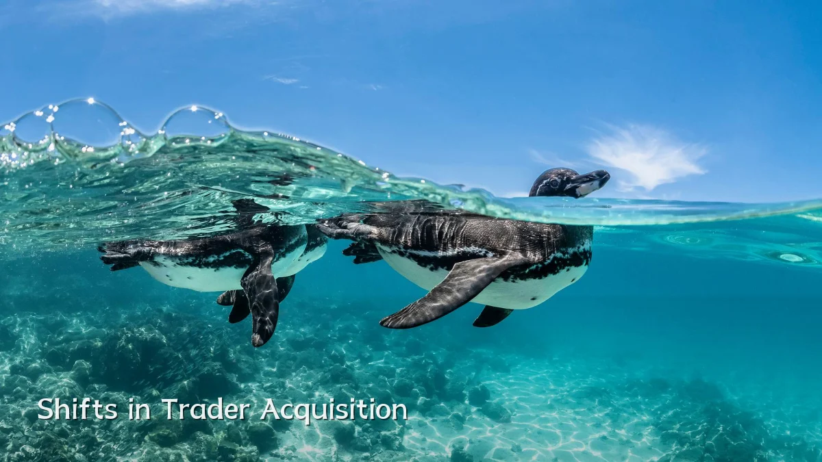 Shifts in Trader Acquisition