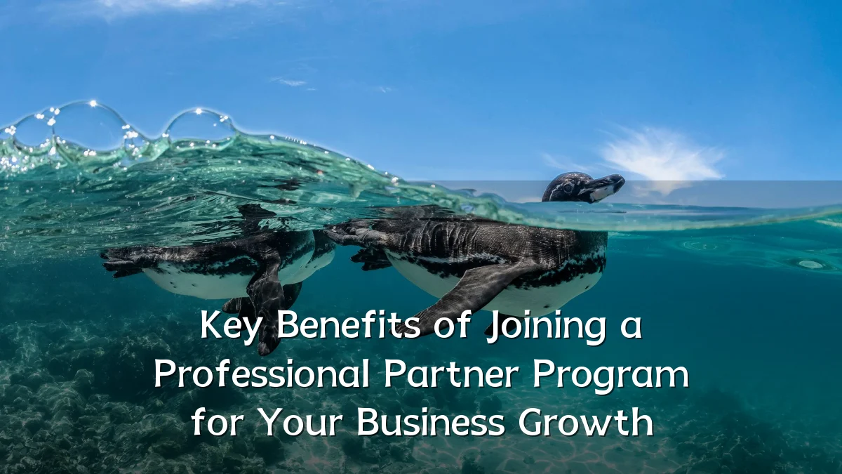 Key Benefits of Joining a Professional Partner Program for Your Business Growth