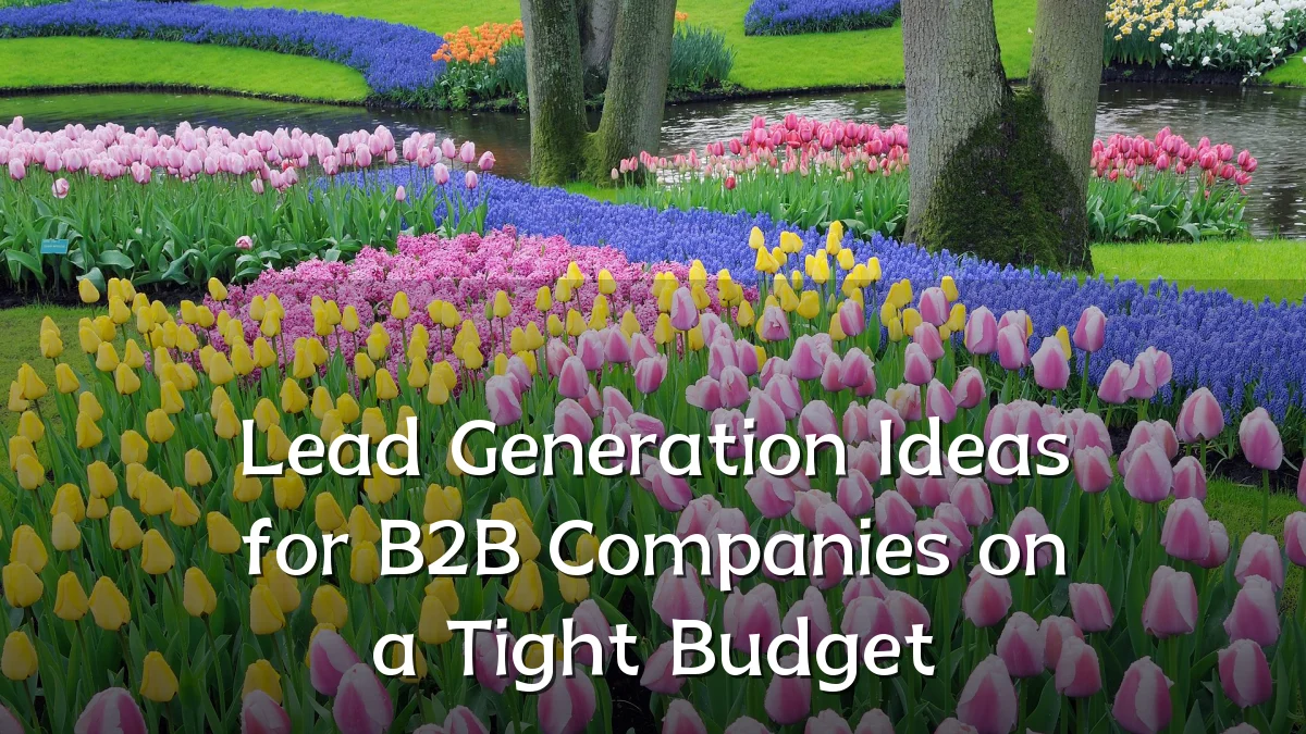 Lead Generation Ideas for B2B Companies on a Tight Budget