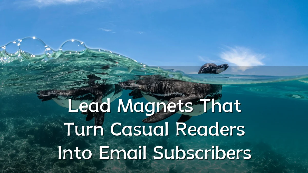 Lead Magnets That Turn Casual Readers Into Email Subscribers