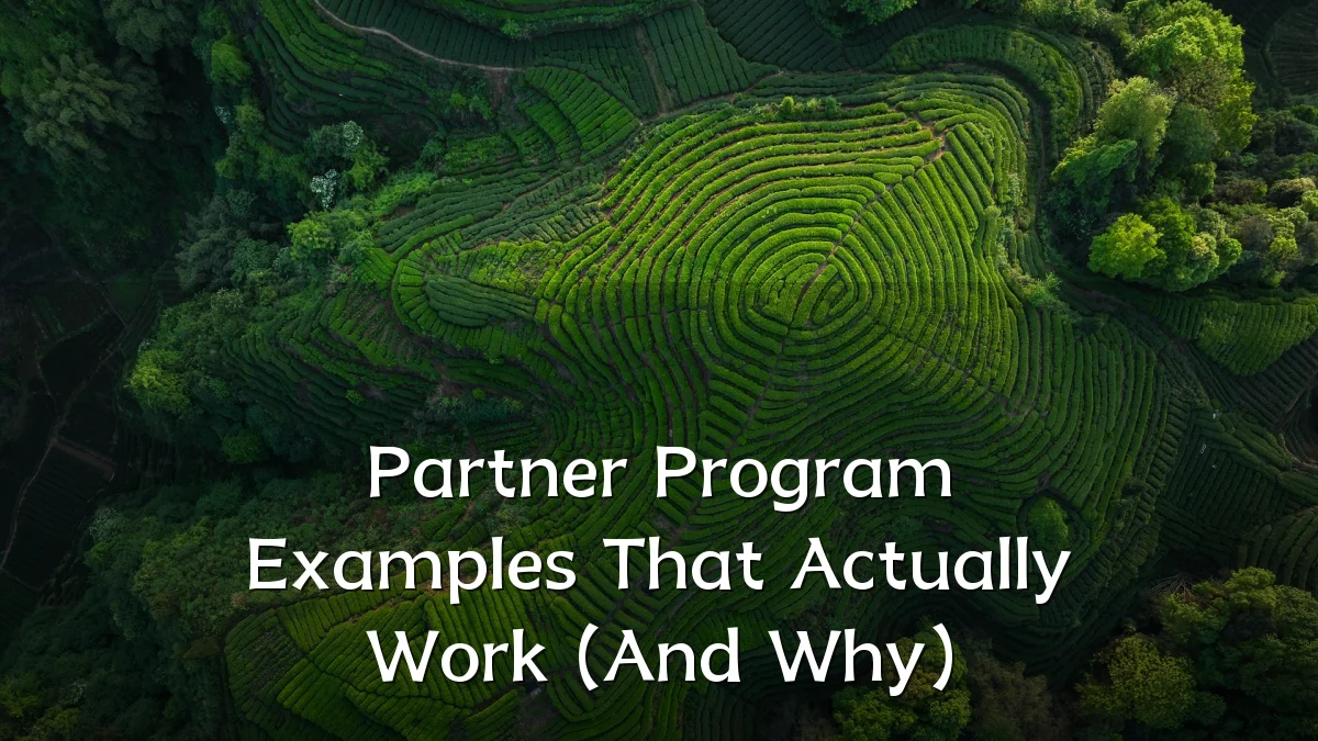 Partner Program Examples That Actually Work (And Why)