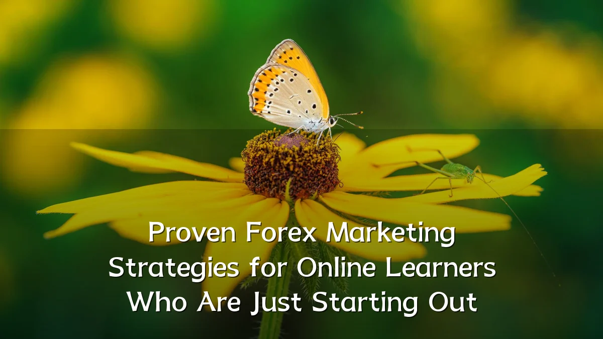 Proven Forex Marketing Strategies for Online Learners Who Are Just Starting Out