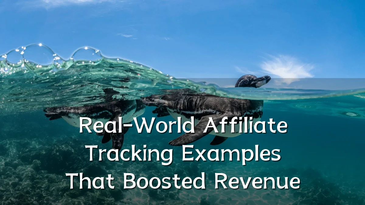 Real-World Affiliate Tracking Examples That Boosted Revenue