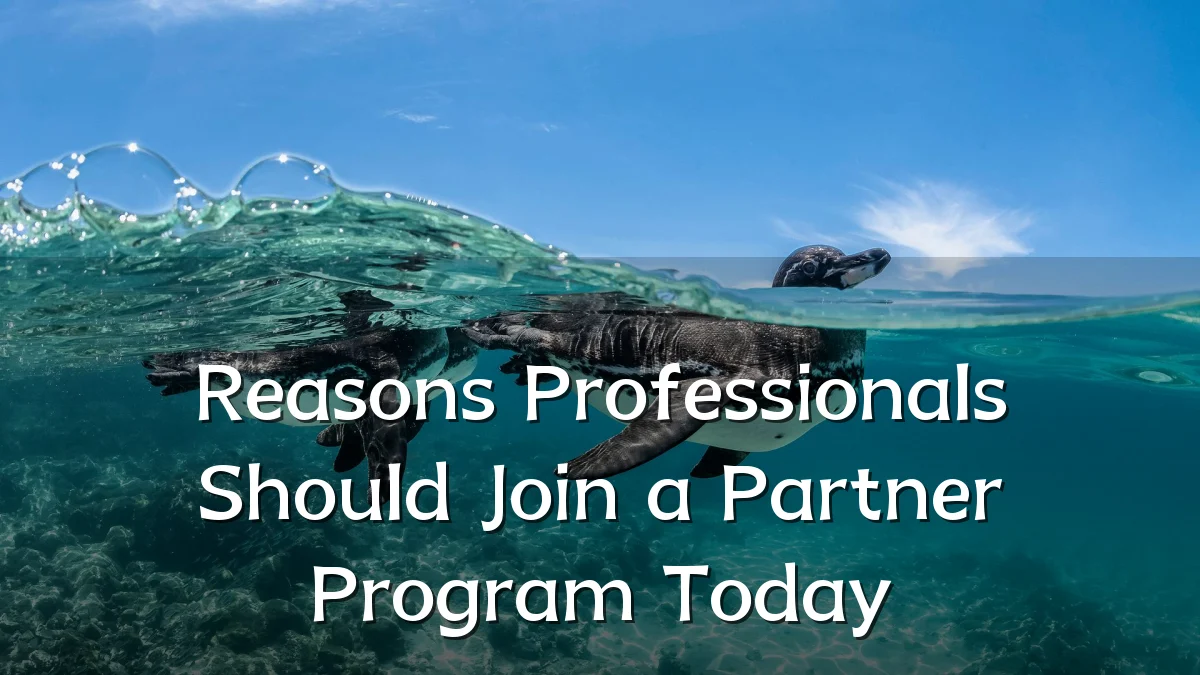 Reasons Professionals Should Join a Partner Program Today