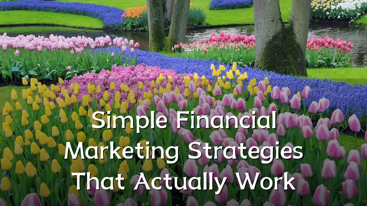 Simple Financial Marketing Strategies That Actually Work
