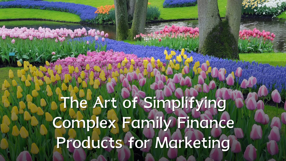 The Art of Simplifying Complex Family Finance Products for Marketing